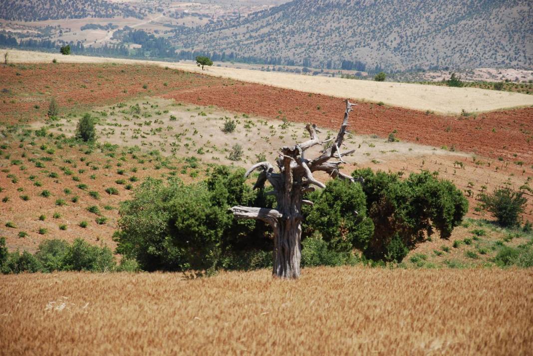 Karaman Muratdede Köyü Resimleri 1