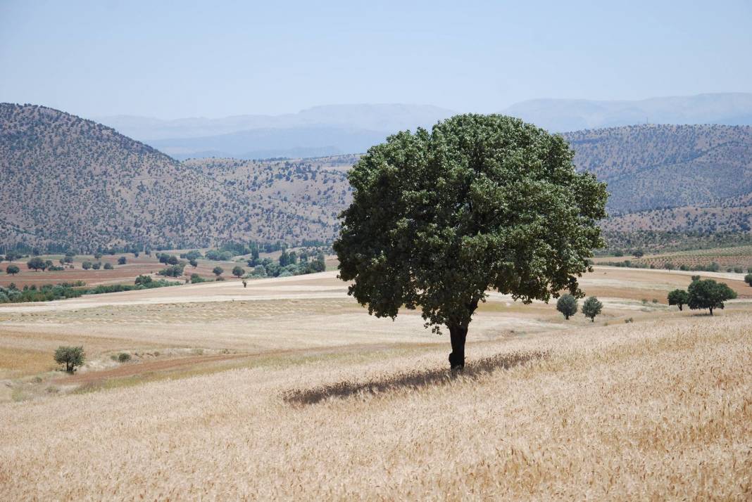 Karaman Muratdede Köyü Resimleri 6