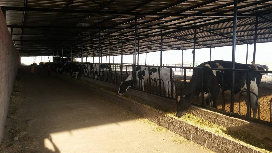 Karaman Ortaoba Köyü Resimleri 16