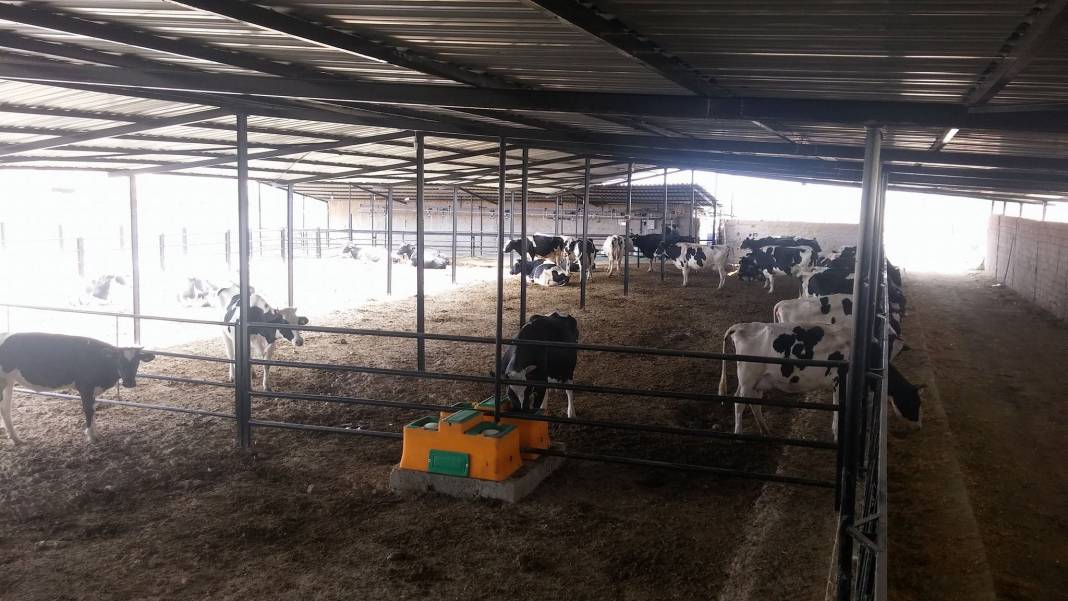 Karaman Ortaoba Köyü Resimleri 17