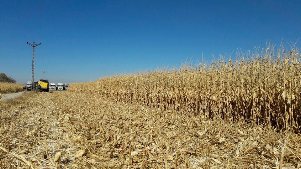 Karaman Osmaniye Köyü Resimleri 3