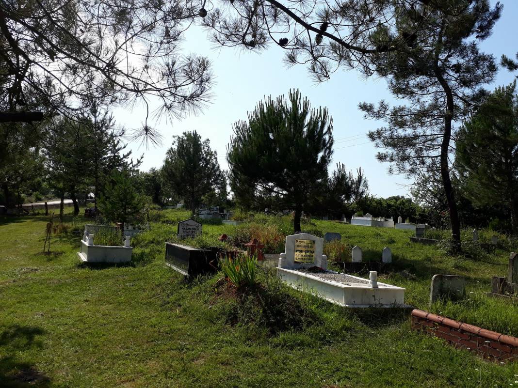 Bartın Ellibaş Köyü Resimleri 6