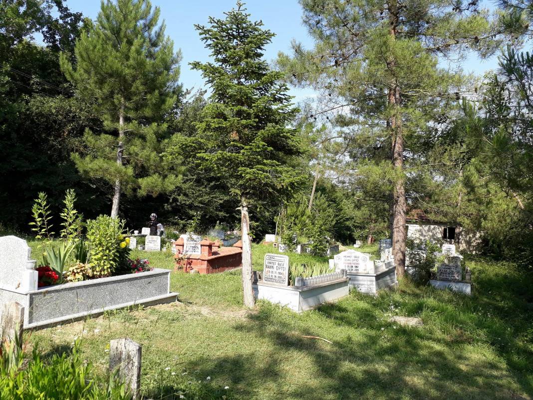 Bartın Ellibaş Köyü Resimleri 8