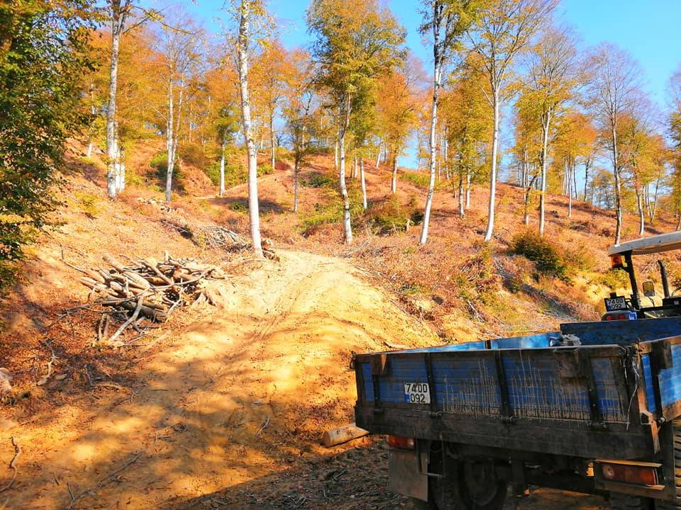 Bartın Epçiler Köyü Resimleri 7