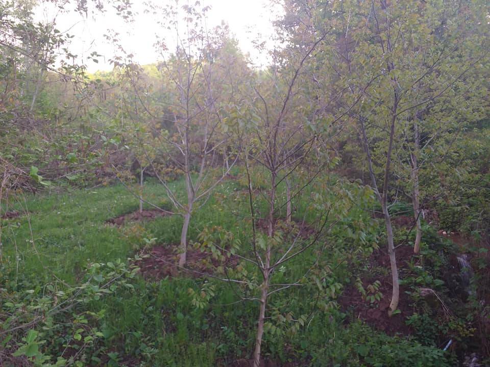 Bartın Esbey Köyü Resimleri 1