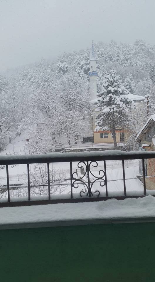 Bartın Esenyurt Köyü Resimleri 8