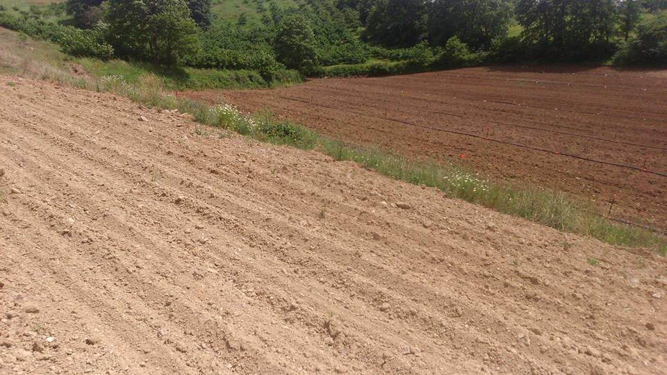 Kaynarca Yeniçam Köyü Resimleri 1