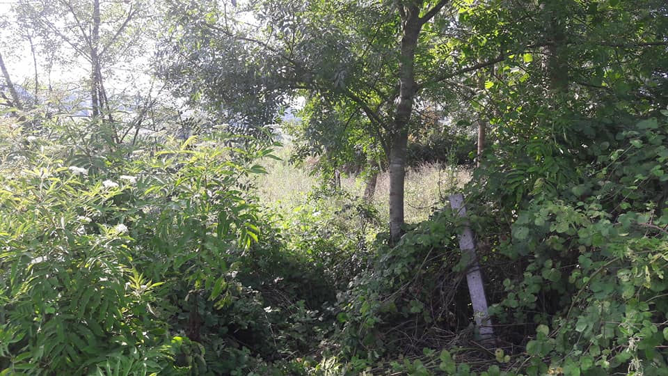 Kaynarca Yeniçam Köyü Resimleri 3