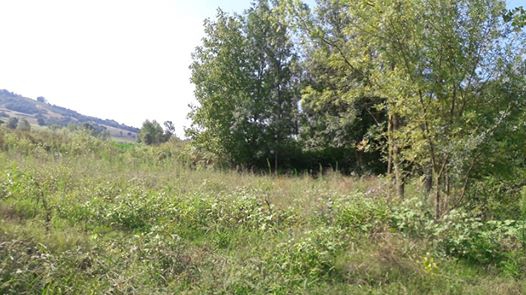 Kaynarca Yeniçam Köyü Resimleri 4