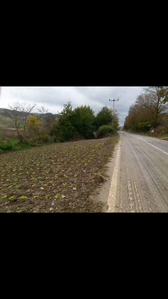 Kaynarca Yeniçam Köyü Resimleri 6
