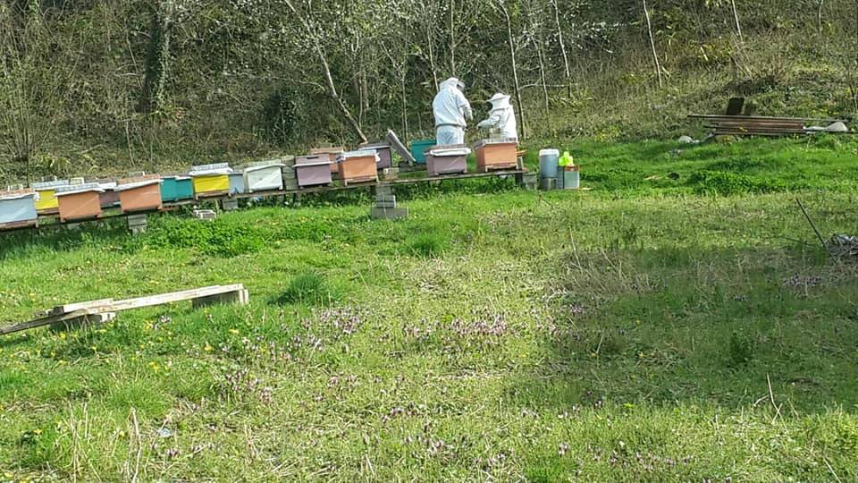 Bartın Fırınlı Köyü Resimleri 2