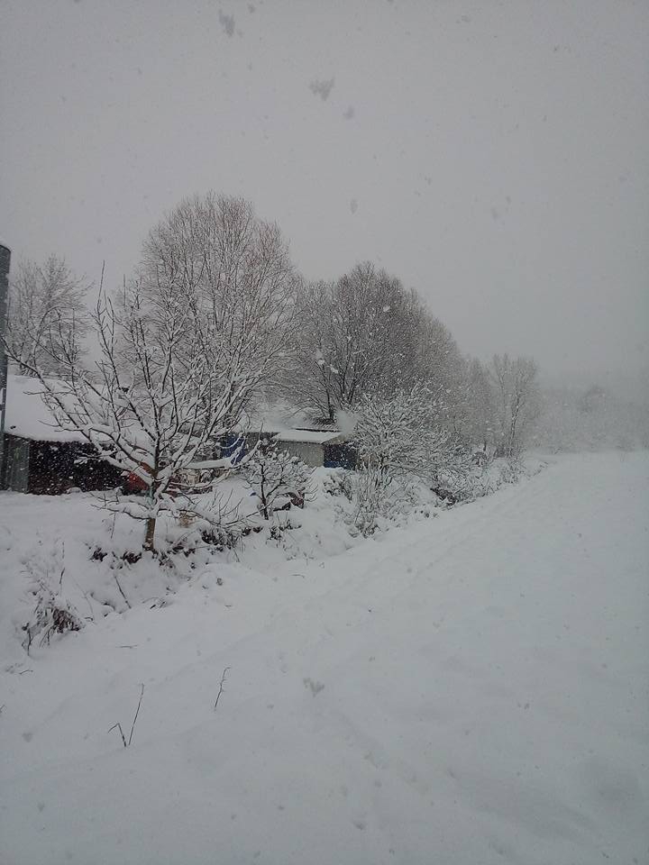 Kaynarca Yeşilova Köyü Resimleri 1