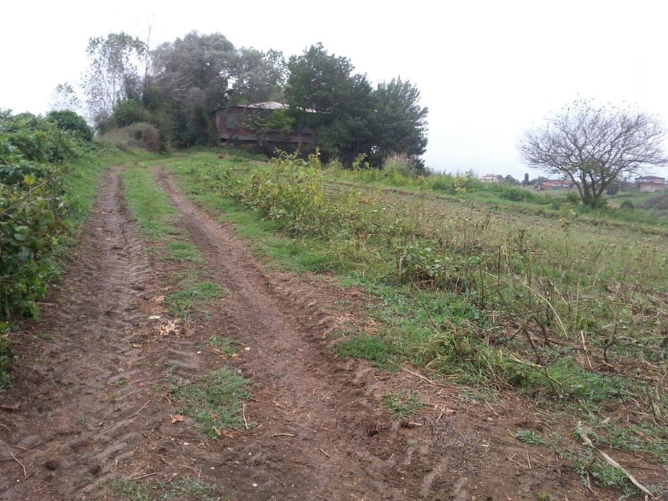 Kaynarca Yeşilova Köyü Resimleri 5