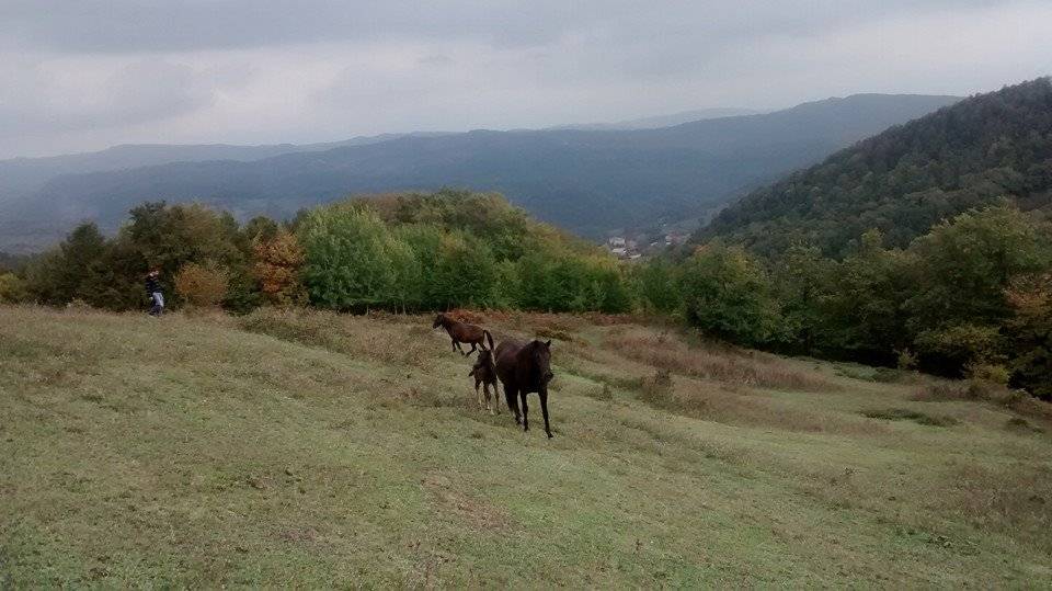 Bartın Kaman Köyü Resimleri 1