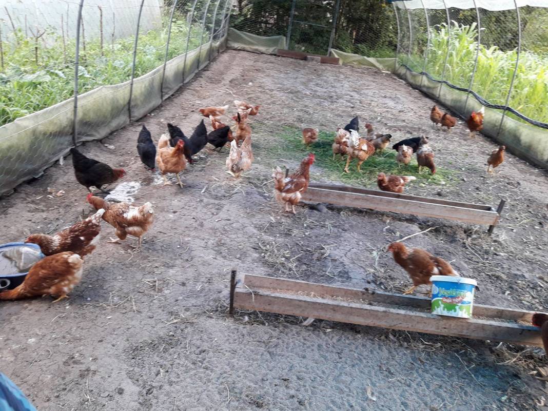 Bartın Kaman Köyü Resimleri 2