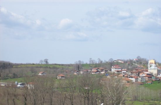 Kaynarca Ziamet Köyü Resimleri 1