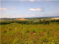 Kaynarca Ziamet Köyü Resimleri 2