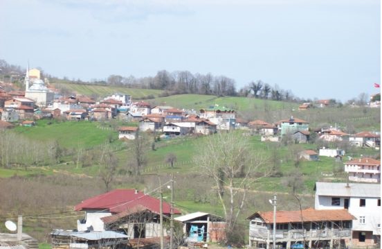 Kaynarca Ziamet Köyü Resimleri 3