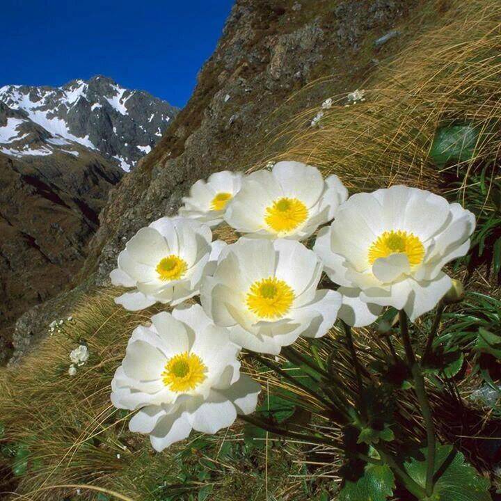 Bahçesaray Altındere Köyü Resimleri 3