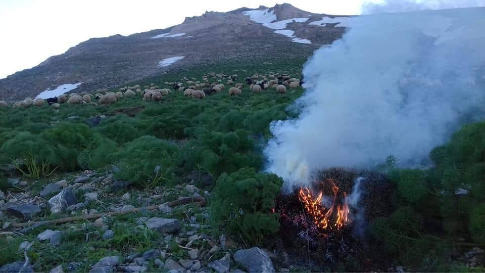 Bahçesaray Altındere Köyü Resimleri 4