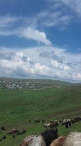 Adilcevaz Cihangir Köyü Resimleri 2