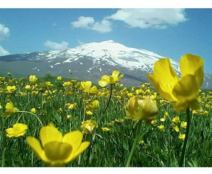 Adilcevaz Çanakyayla Köyü Resimleri 3