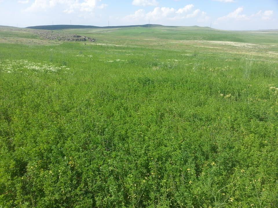 Adilcevaz Dizdar Köyü Resimleri 2