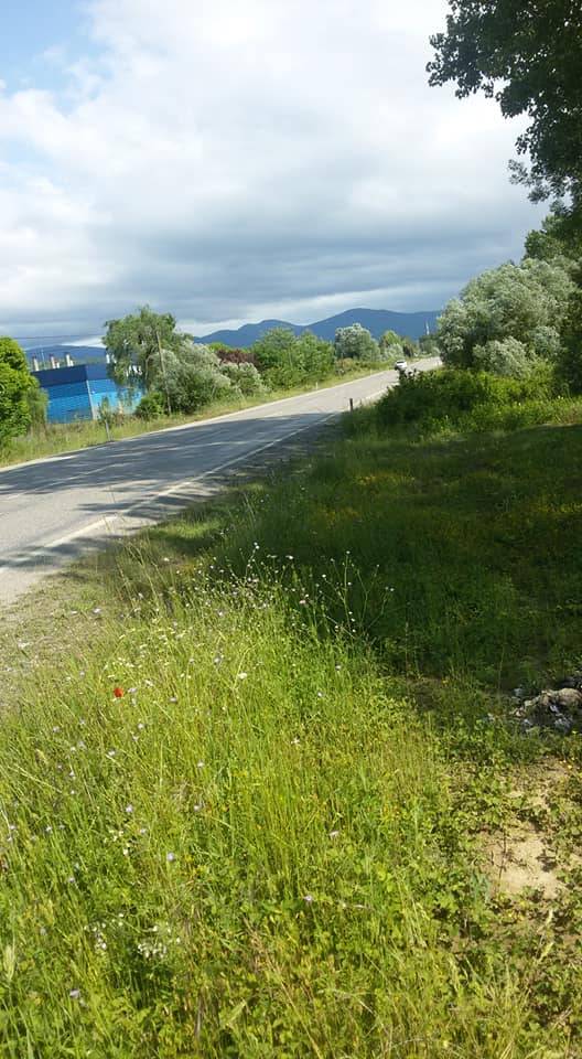 Bartın Kutlubeydemirci Köyü Resimleri 4