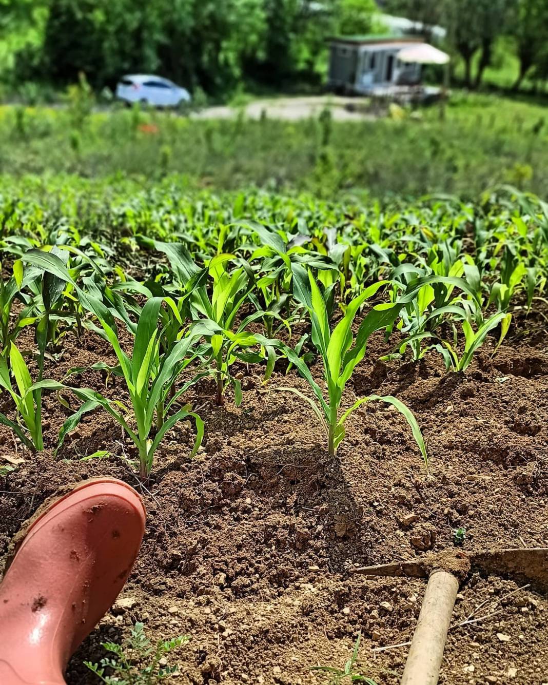 Bartın Kutlubeydemirci Köyü Resimleri 5