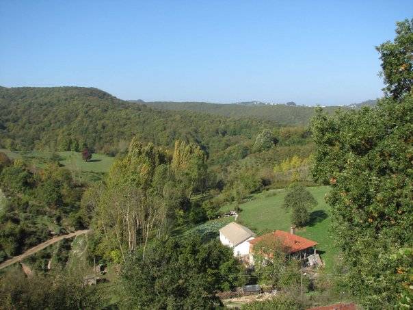 Bartın Saraylı Köyü Resimleri 3