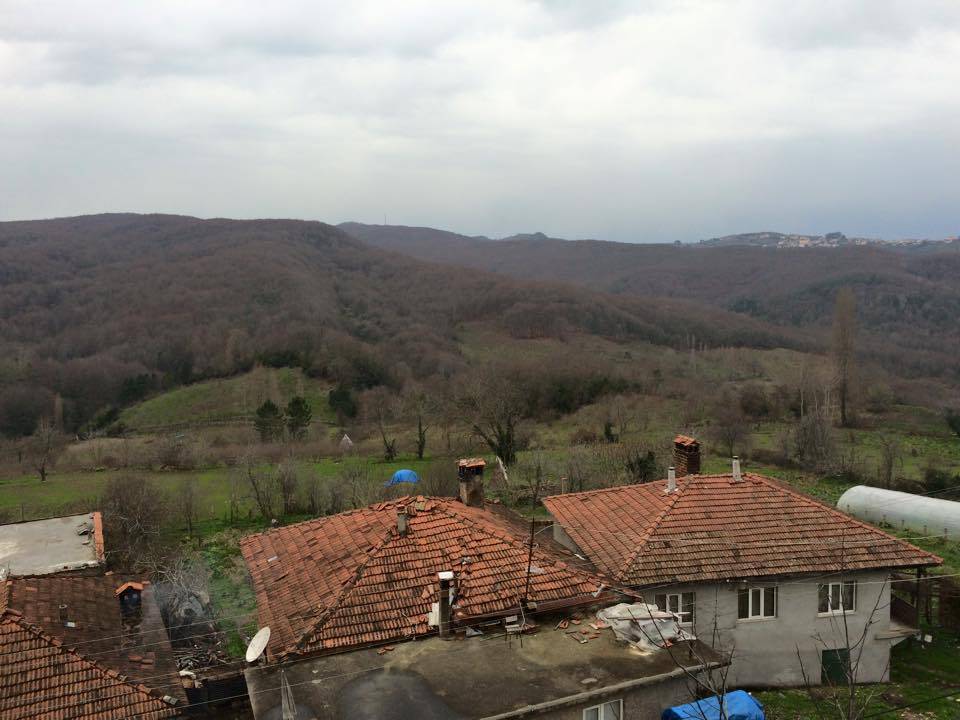 Bartın Saraylı Köyü Resimleri 4