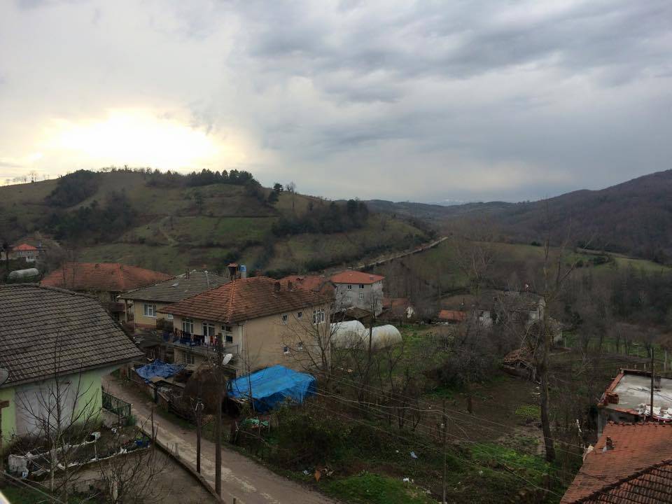 Bartın Saraylı Köyü Resimleri 5