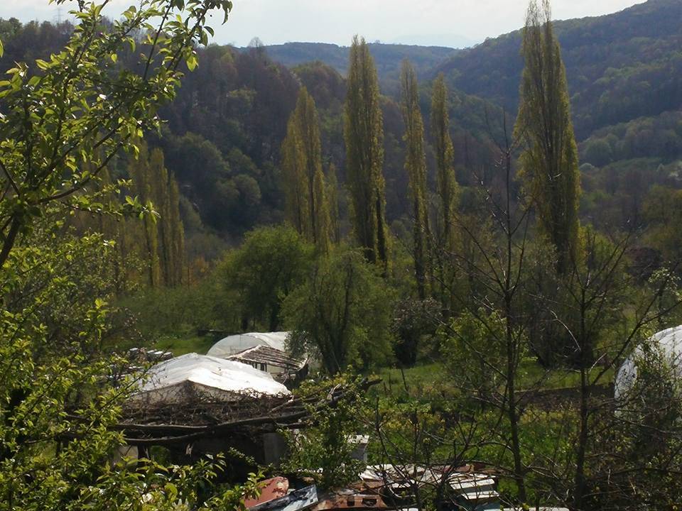 Bartın Saraylı Köyü Resimleri 6