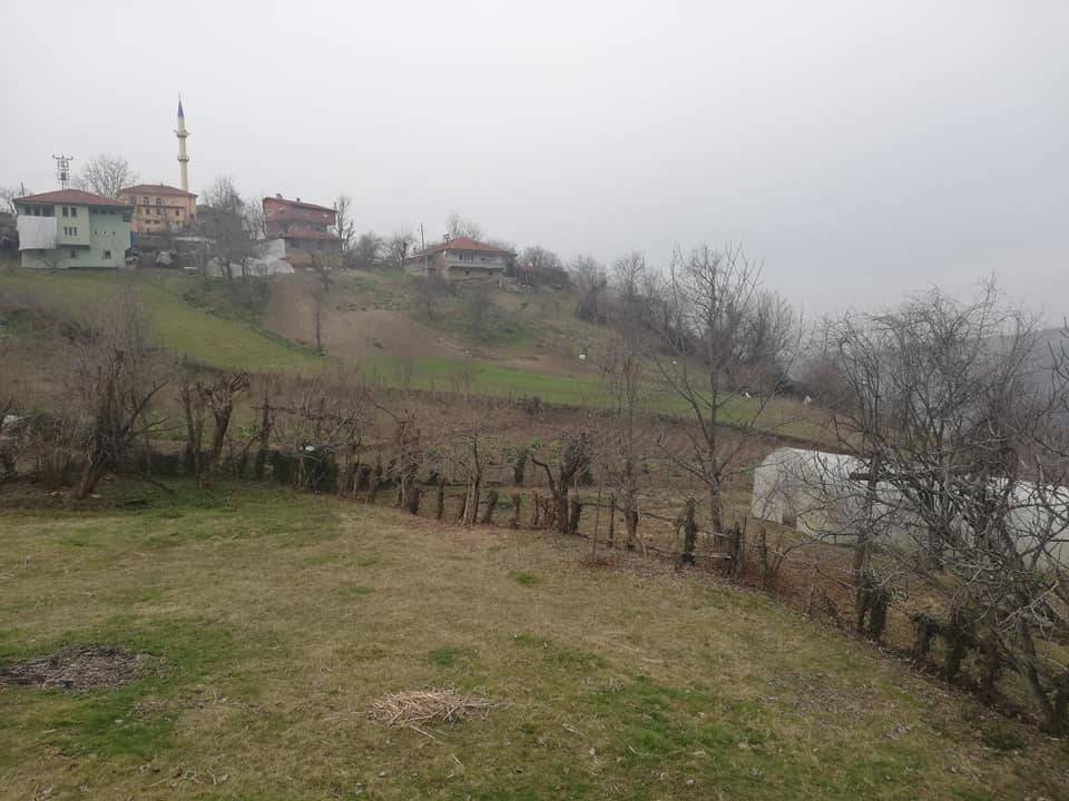 Bartın Sofular Köyü Resimleri 1