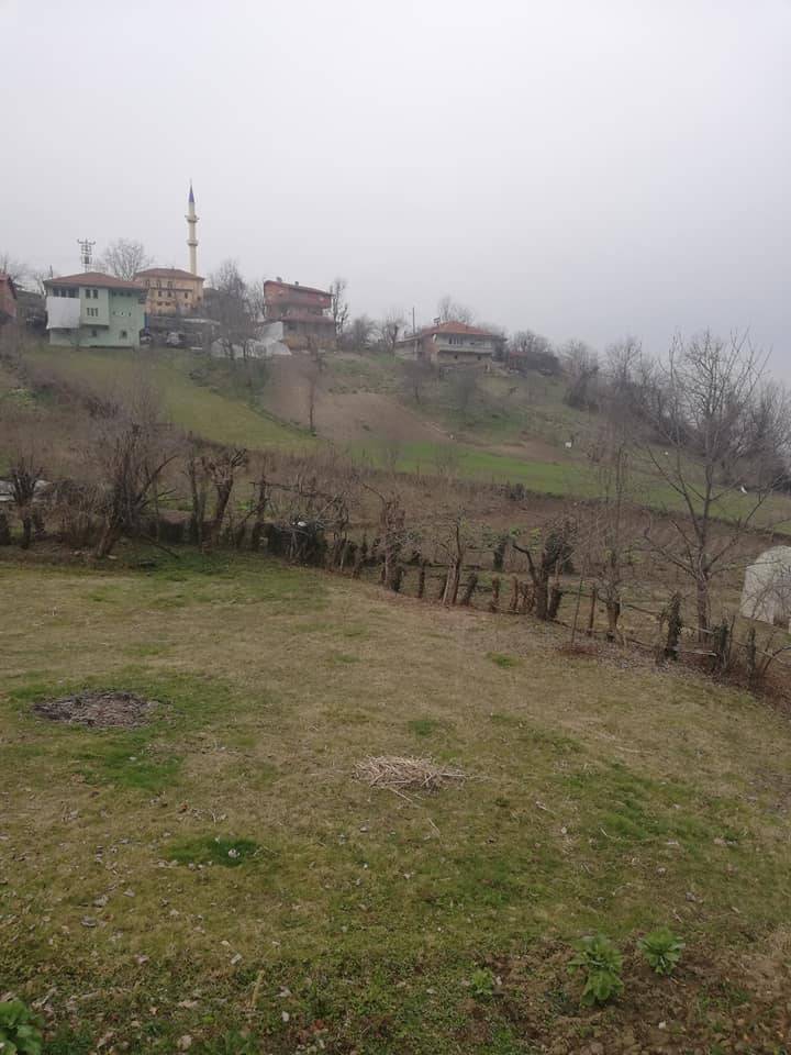 Bartın Sofular Köyü Resimleri 2