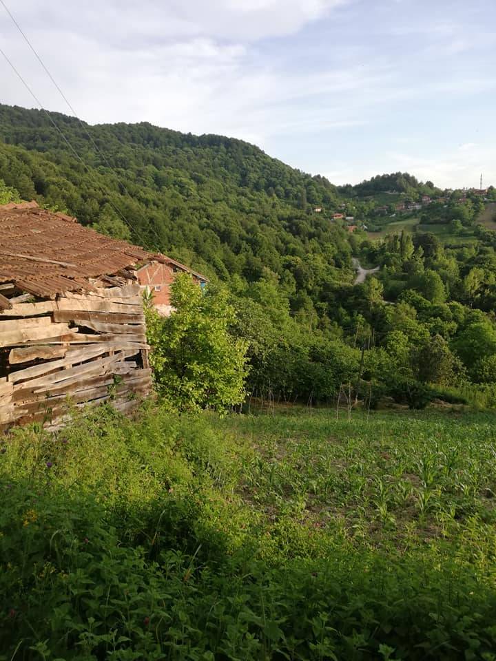 Bartın Sofular Köyü Resimleri 6