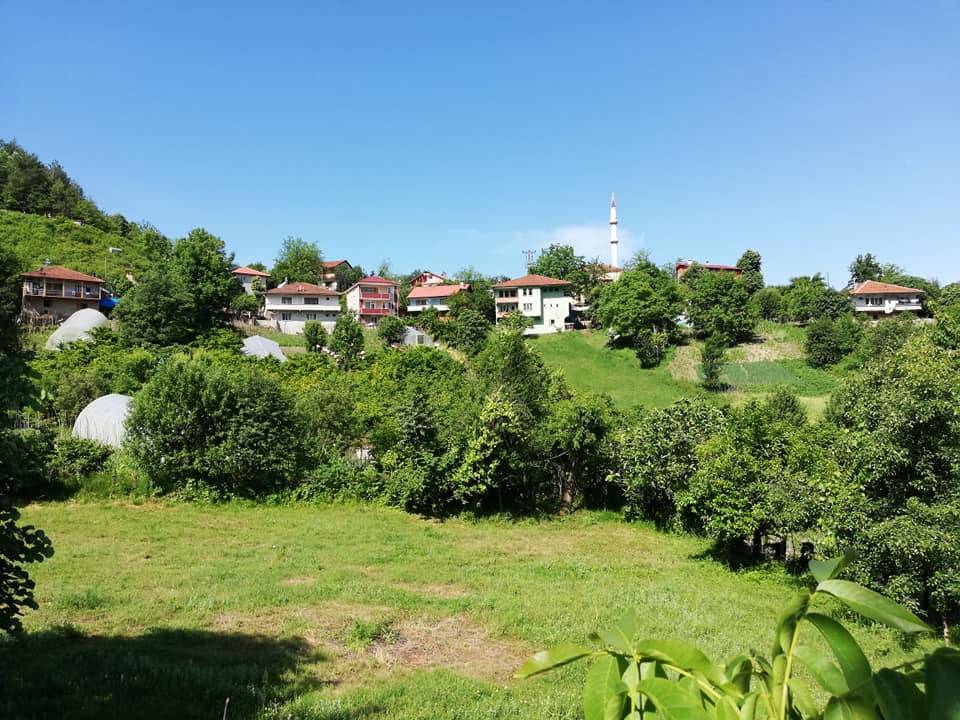 Bartın Sofular Köyü Resimleri 8