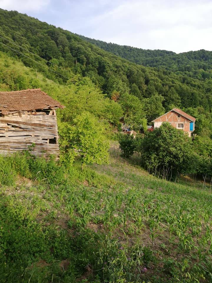 Bartın Sofular Köyü Resimleri 9