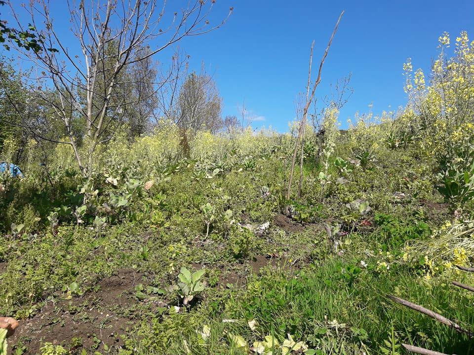 Bartın Şarköy Köyü Resimleri 1