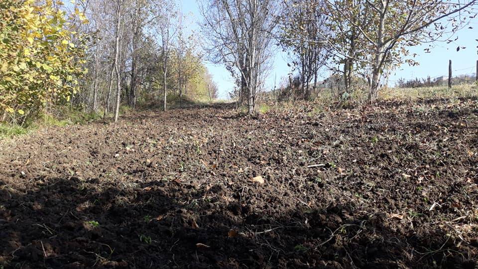 Bartın Şarköy Köyü Resimleri 3