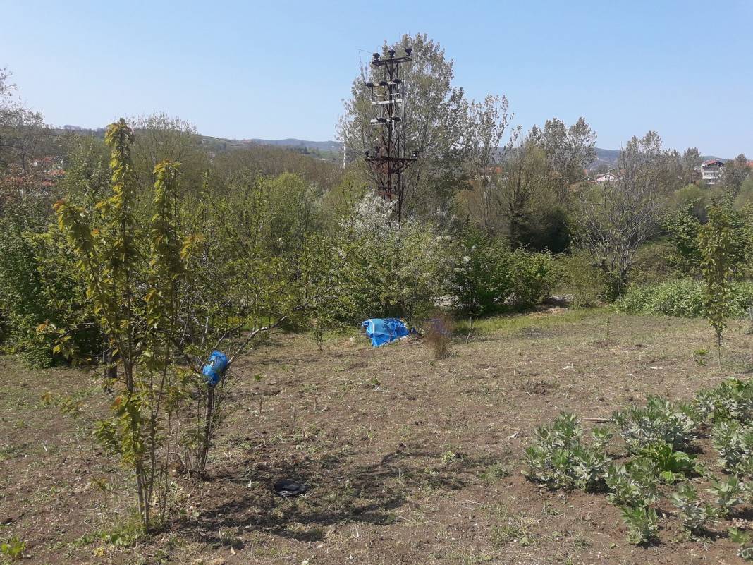 Bartın Şarköy Köyü Resimleri 6