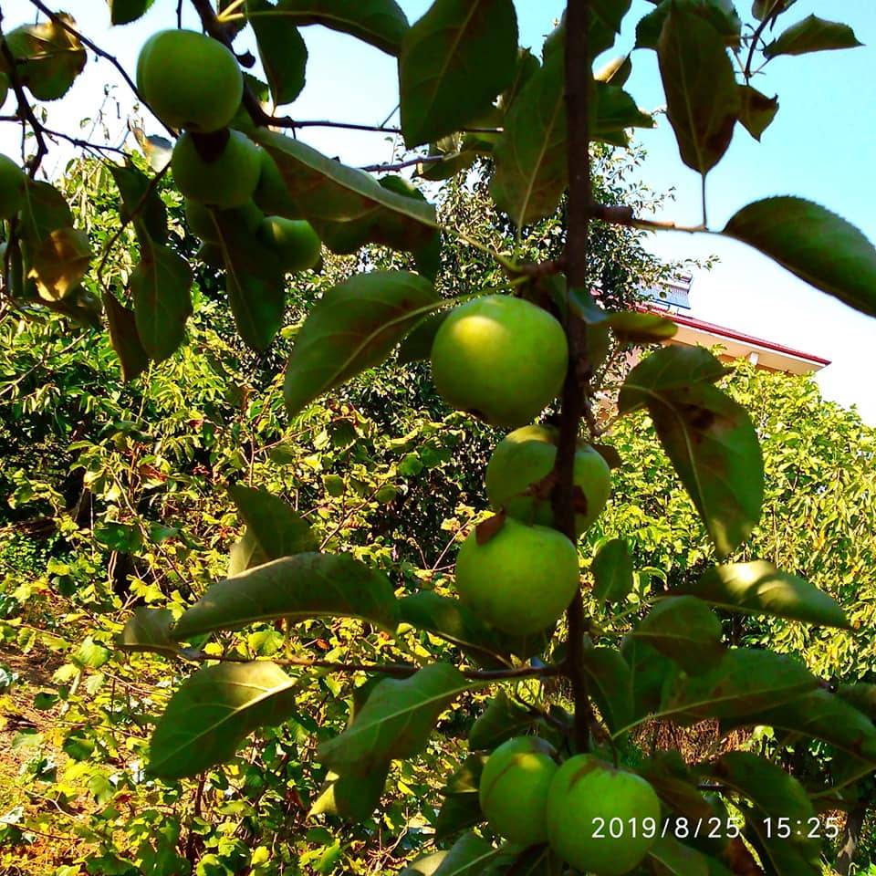 Bartın Şiremirçavuş Köyü Resimleri 1
