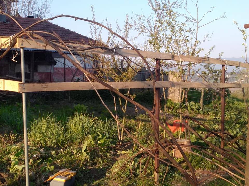 Bartın Şiremirçavuş Köyü Resimleri 2