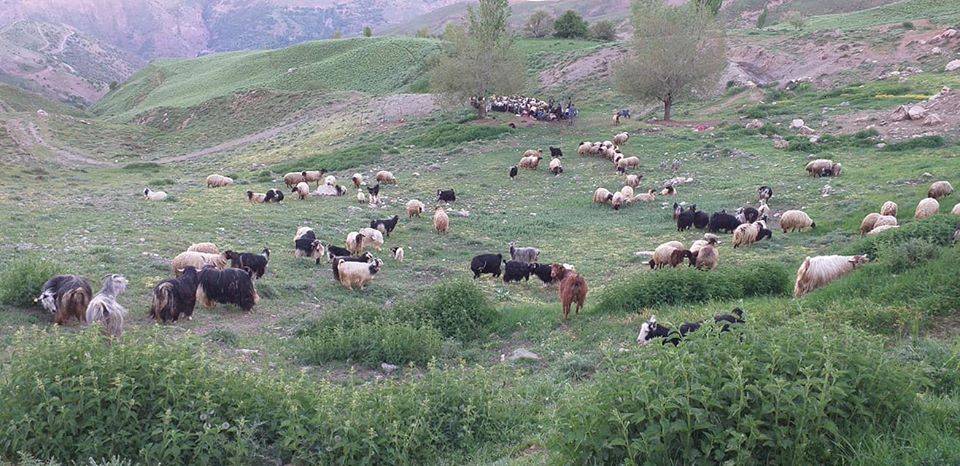 Bahçesaray Çömlekçi Köyü Resimleri 3