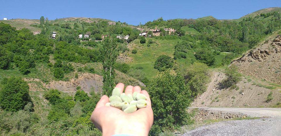 Bahçesaray Çömlekçi Köyü Resimleri 4