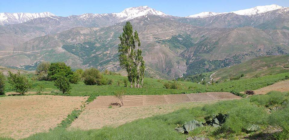 Bahçesaray Çömlekçi Köyü Resimleri 5