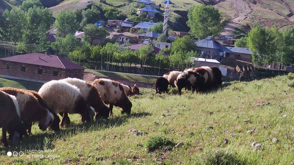Ahlat Cemalettinköy Köyü Resimleri 6