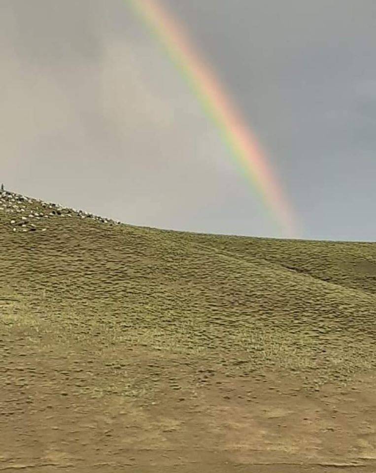 Ahlat Cemalettinköy Köyü Resimleri 7