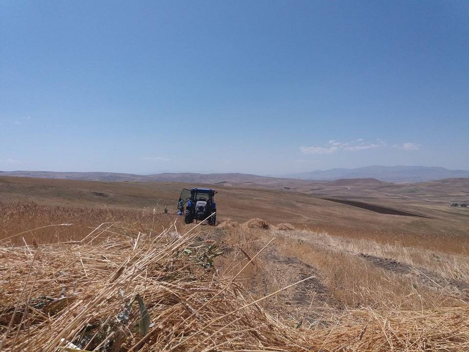 Ahlat Yoğurtyemez Köyü Resimleri 1