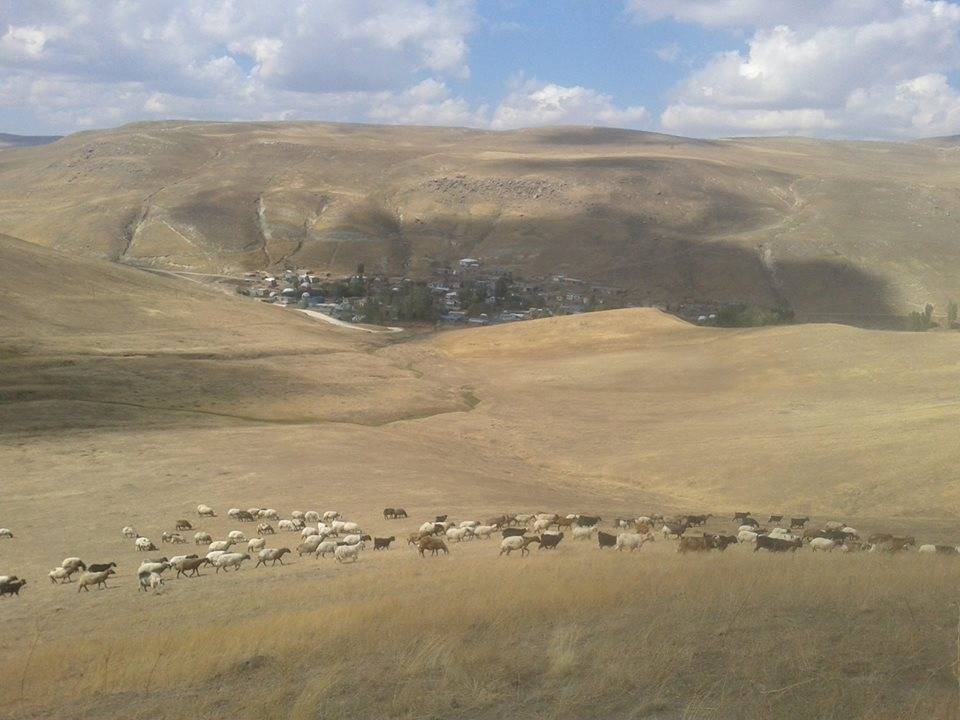 Ahlat Yoğurtyemez Köyü Resimleri 3